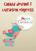Chaud devant ! Un oiseau livre No&euml;l